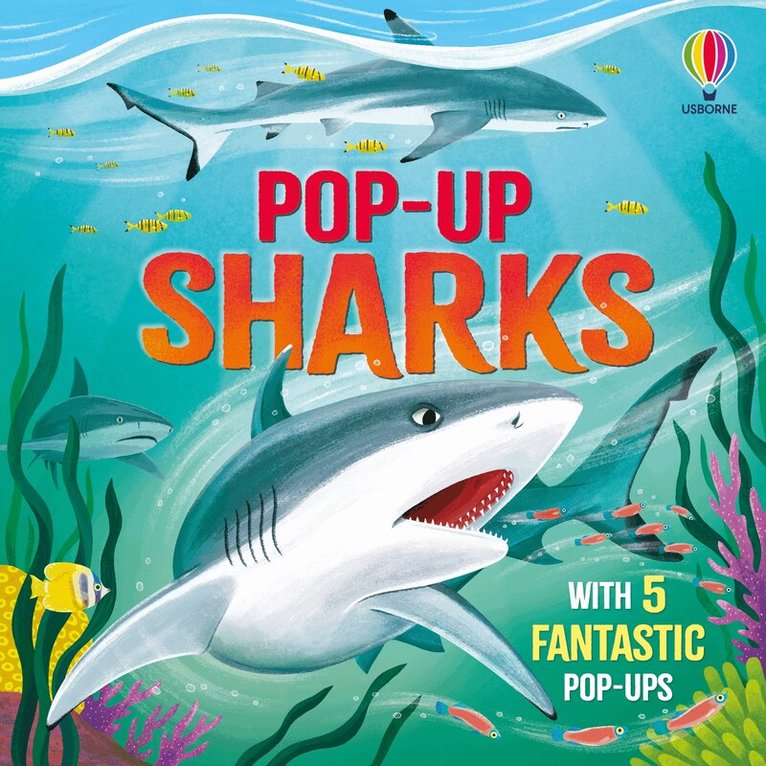 Micaela Tapsell - Pop-up Sharks, Kartonnage