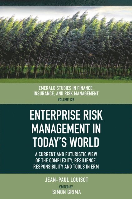 Jean-Paul Louisot, Simon Grima - Enterprise Risk Management in Today's World, E-bok