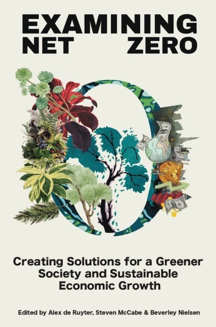 Beverley Nielsen, Steven McCabe, Alex de Ruyter - Examining Net Zero, E-bok