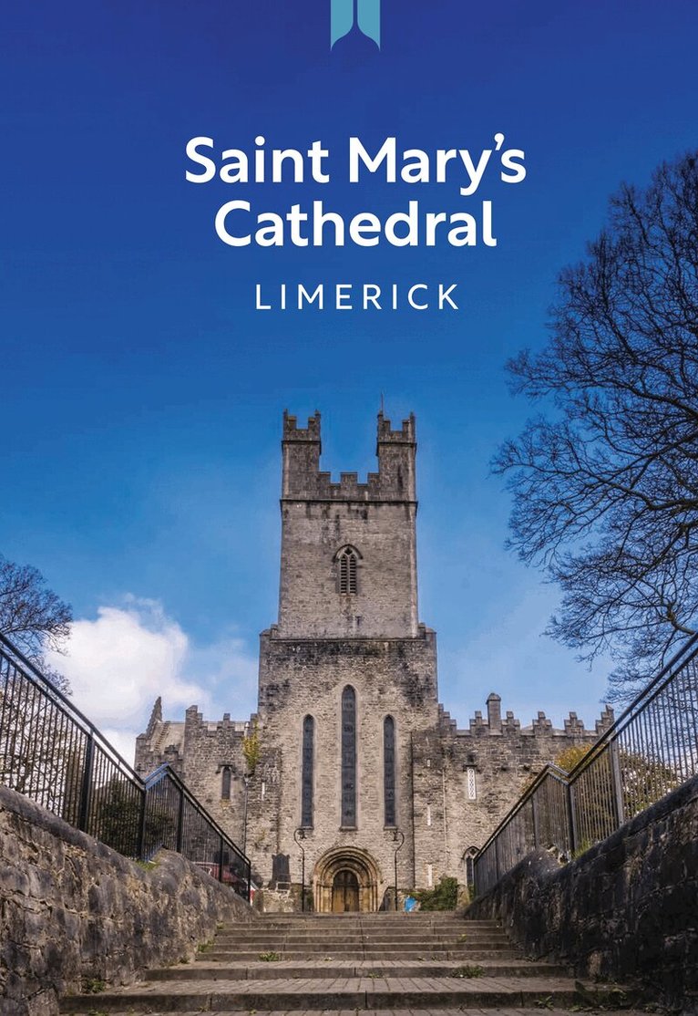 Ros Stevenson - Saint Mary's Cathedral Limerick, Häftad. Tillgänglighet: Lägg i varukorg