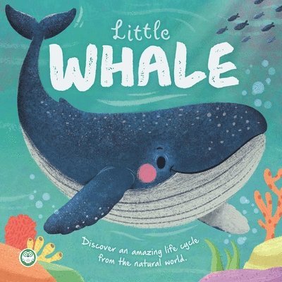 IglooBooks - Nature Stories: Little Whale, Kartonnage. Tillgänglighet: Lägg i varukorg