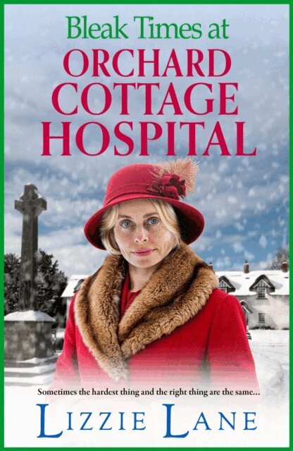 Lizzie Lane - Bleak Times at Orchard Cottage Hospital, E-bok