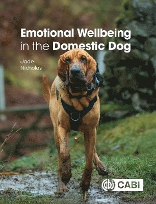 Jade Nicholas - Emotional Wellbeing in the Domestic Dog, Häftad
