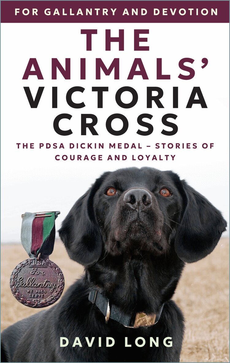 Animals' Victoria Cross for Gallantry and Devotion