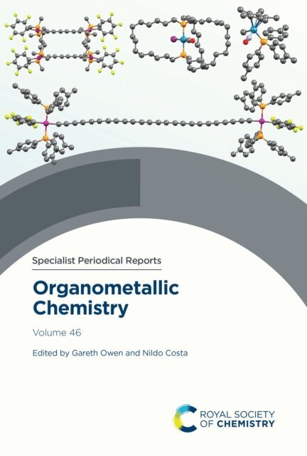 Nildo Costa, Gareth Owen - Organometallic Chemistry, E-bok