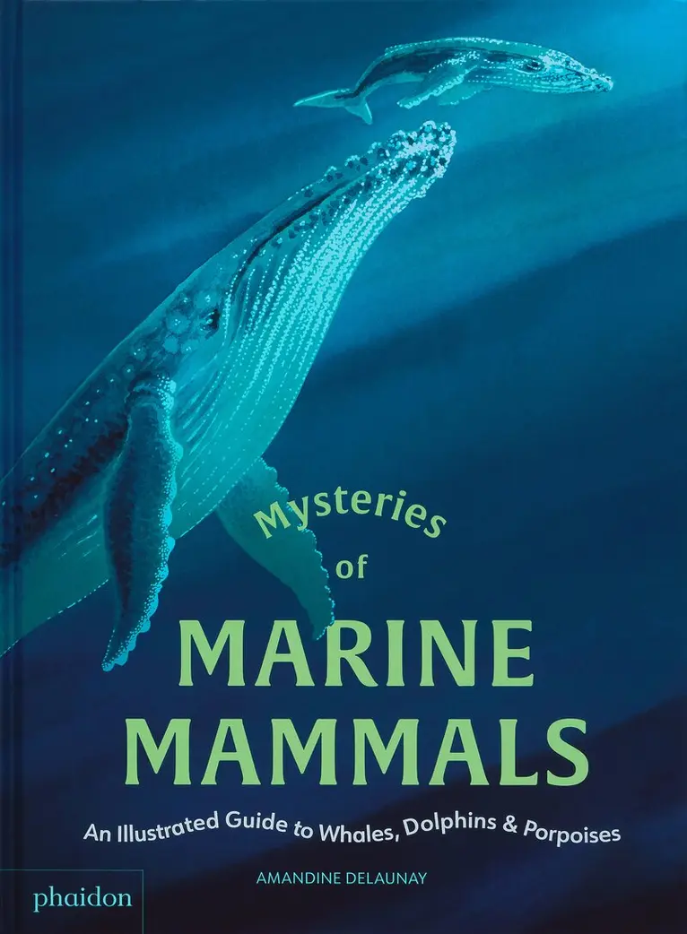 Amandine Delaunay - Mysteries of Marine Mammals, Inbunden. Tillgänglighet: Lägg i varukorg