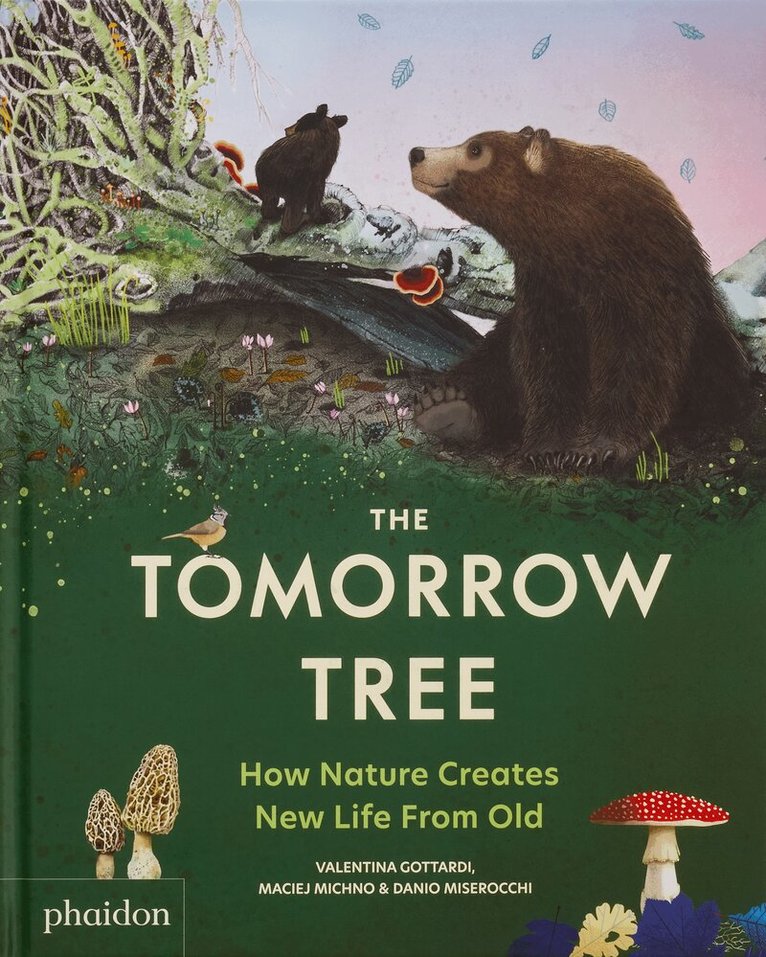 Maciej Michno, Danio Miserocchi - Tomorrow Tree, Inbunden