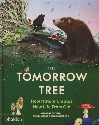 Maciej Michno - The Tomorrow Tree: How Nature Creates New Life from Old, Inbunden