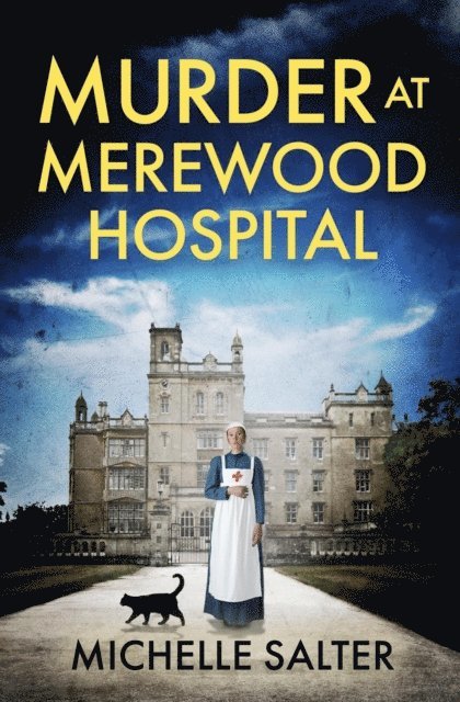 Michelle Salter - Murder at Merewood Hospital, E-bok