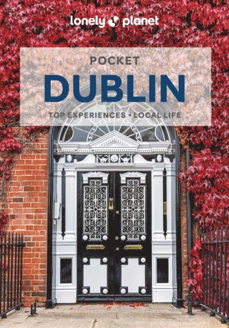 Neil Wilson - Lonely Planet Pocket Dublin, E-bok