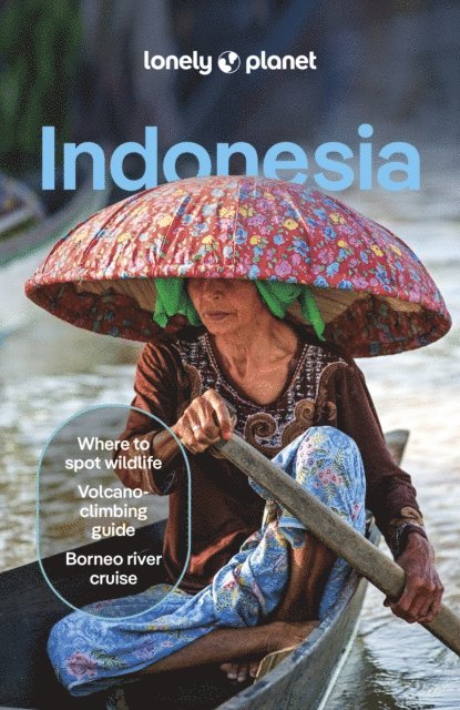 Ryan Ver Berkmoes, Regis St Louis, Jason Lee, Mark Johanson, Paul Harding, Jayne D'Arcy, David Eimer - Lonely Planet Indonesia, E-bok