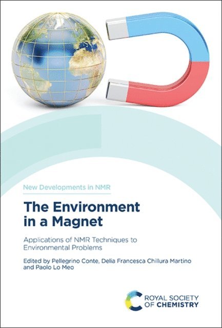 Paolo Lo Meo, Delia Francesca Chillura Martino, Pellegrino Conte - Environment in a Magnet, E-bok