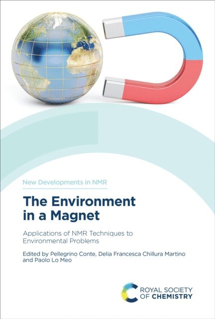 Paolo Lo Meo, Delia Francesca Chillura Martino, Pellegrino Conte - Environment in a Magnet, E-bok