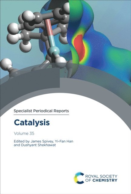 Dushyant Shekhawat, Yi-Fan Han, James J Spivey - Catalysis, E-bok