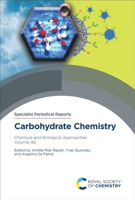 Angelina Sa Palma, Yves Queneau, Amelia Pilar Rauter - Carbohydrate Chemistry, E-bok