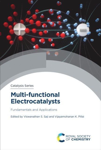 Vijayamohanan K Pillai, Viswanathan S Saji - Multi-functional Electrocatalysts, E-bok
