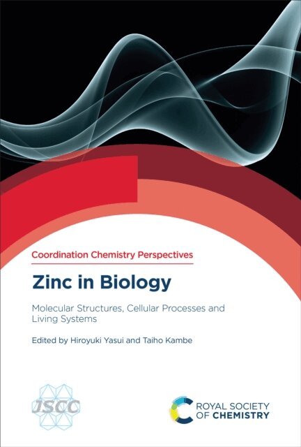 Taiho Kambe, Hiroyuki Yasui - Zinc in Biology, E-bok