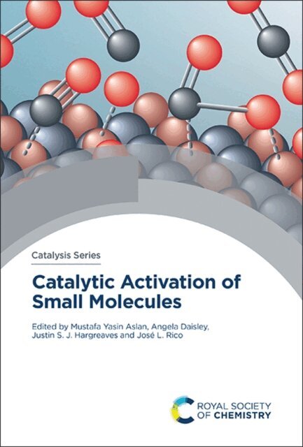 Jose L Rico, Justin S J Hargreaves, Angela Daisley, Mustafa Yasin Aslan - Catalytic Activation of Small Molecules, E-bok