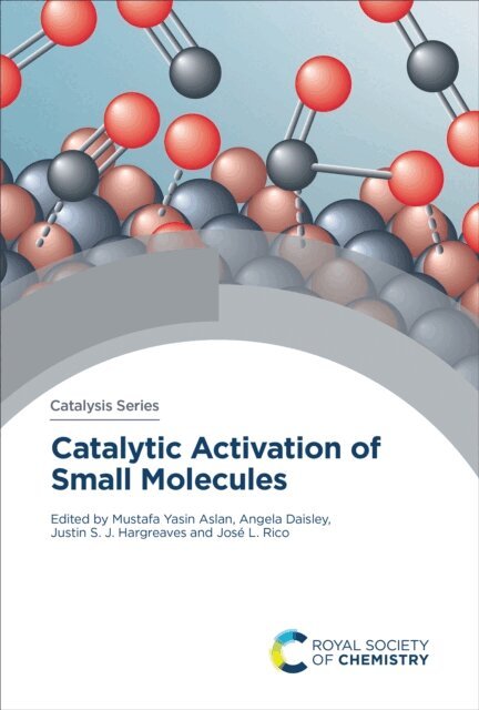 Jose L Rico, Justin S J Hargreaves, Angela Daisley, Mustafa Yasin Aslan - Catalytic Activation of Small Molecules, E-bok