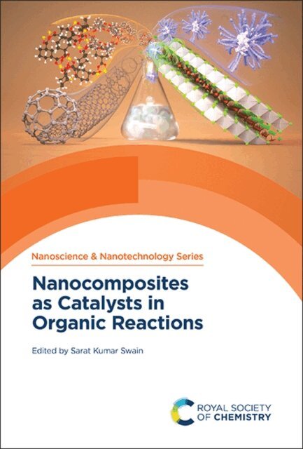 Sarat Kumar Swain - Nanocomposites as Catalysts in Organic Reactions, E-bok