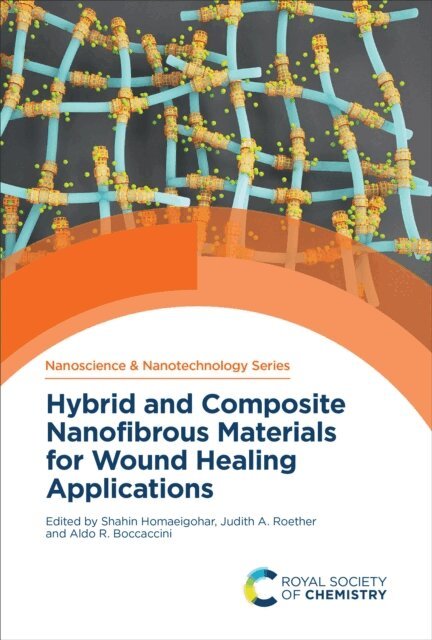Aldo R Boccaccini, Judith A Roether, Shahin Homaeigohar - Hybrid and Composite Nanofibrous Materials for Wound Healing Applications, E-bok
