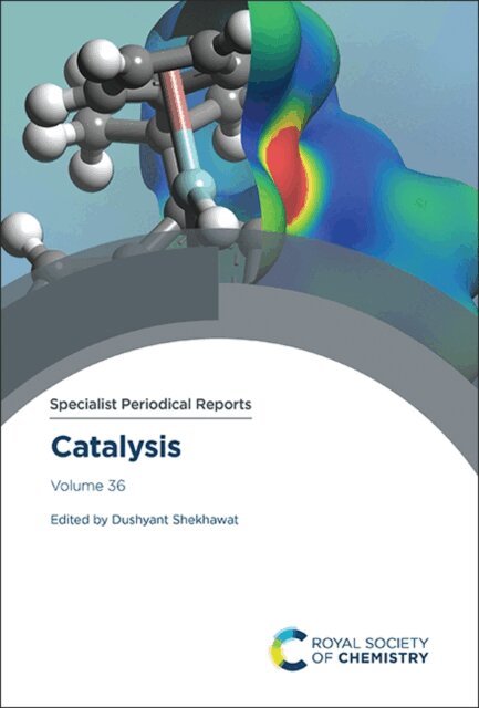Dushyant Shekhawat - Catalysis, E-bok