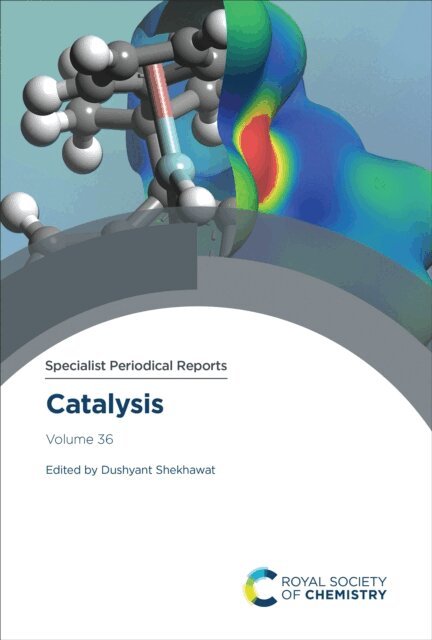 Dushyant Shekhawat - Catalysis, E-bok
