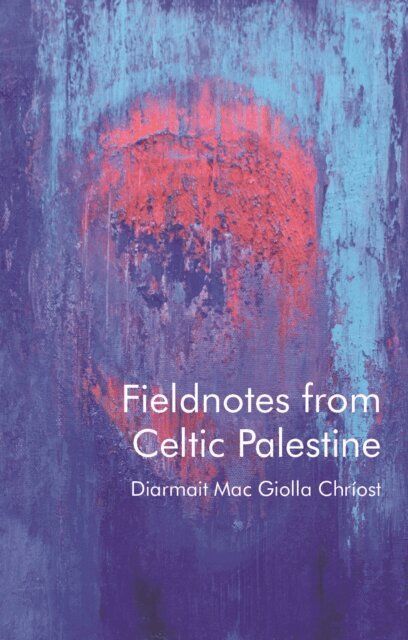 Diarmait Mac Giolla Chriost - Fieldnotes from Celtic Palestine, E-bok
