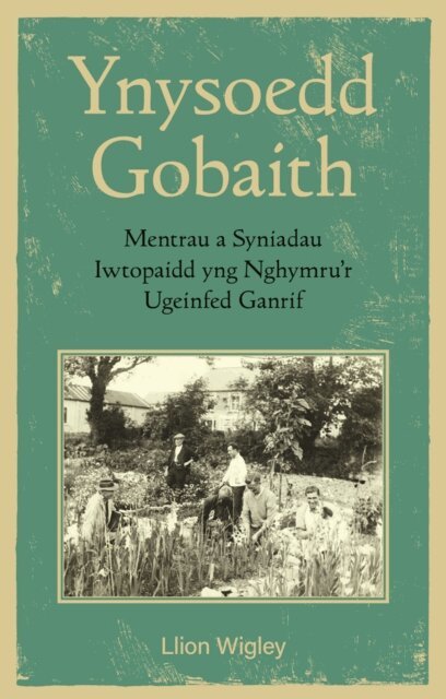 Llion Wigley - Ynysoedd Gobaith, E-bok