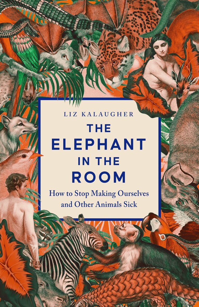 Liz Kalaugher - Elephant in the Room, Häftad. Tillgänglighet: Lägg i varukorg