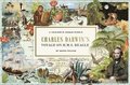 The Voyage of HMS Beagle: Charles Darwin's Journey of Discovery: A 1000-Piece Jigsaw Puzzle