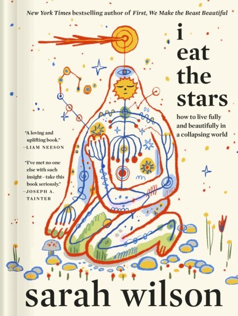 Sarah Wilson - I Eat the Stars, E-bok