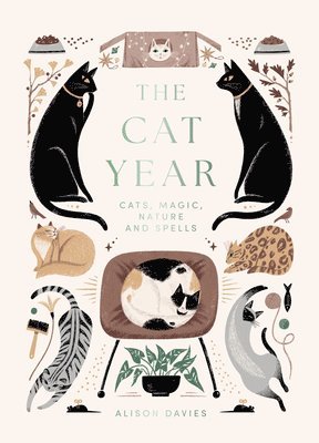 Alison Davies - Cat Year, Inbunden