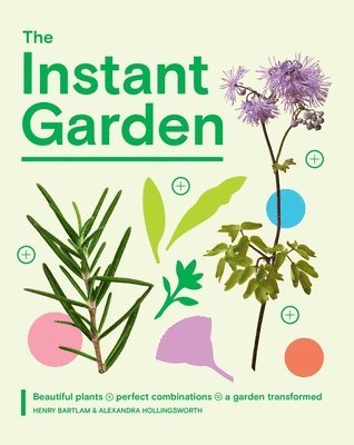 Henry Bartlam, Alexandra Hollingsworth - Instant Garden, Inbunden