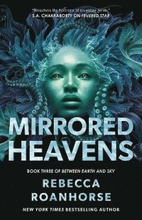 Mirrored Heavens