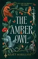 Amber Owl
