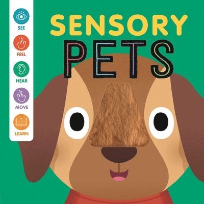 Igloobooks - Sensory Pets: An Interactive Touch & Feel Book for Babies, Kartonnage