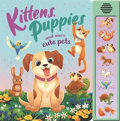 Igloo Books Ltd - Kittens, Puppies and More Cute Pets, Kartonnage
