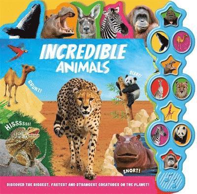 Igloo Books Ltd - Incredible Animals, Kartonnage