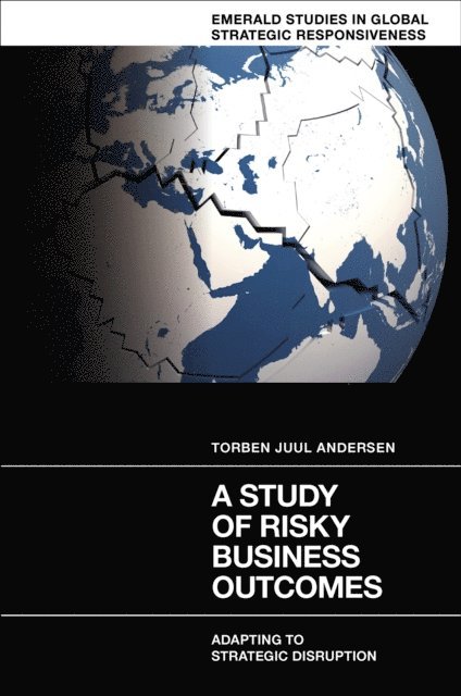 Torben Juul Andersen - Study of Risky Business Outcomes, E-bok