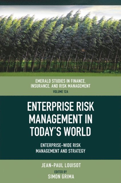 Jean-Paul Louisot, Simon Grima - Enterprise Risk Management in Today's World, E-bok