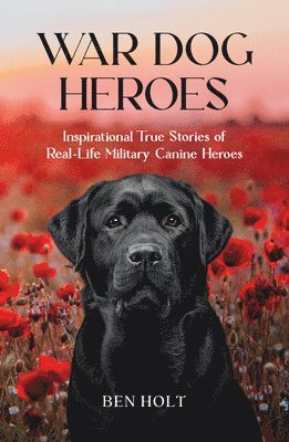 Ben Holt - War Dog Heroes, Häftad. Tillgänglighet: Tillfälligt slut