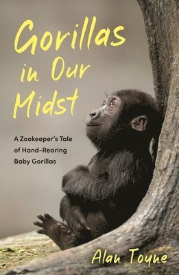 Alan Toyne - Gorillas in Our Midst, Häftad