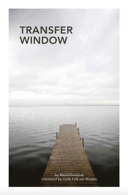 Maria Gerhardt - Transfer Window, E-bok