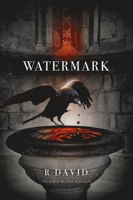 R David - Watermark, E-bok