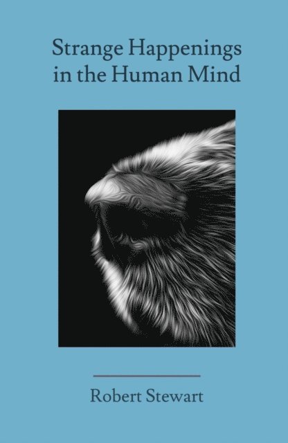 Robert Stewart - Strange Happenings in the Human Mind, E-bok
