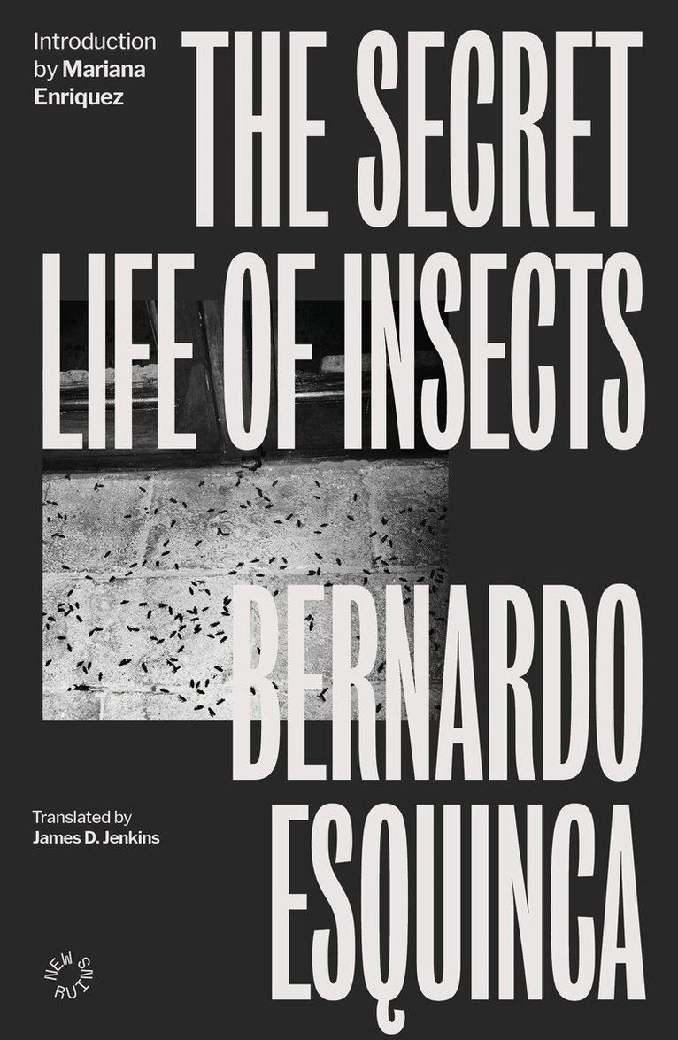 Bernardo Esquinca - Secret Life of Insects, Häftad