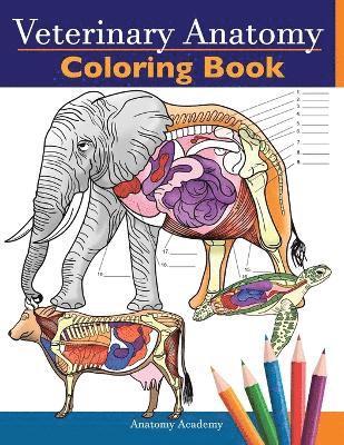 Anatomy Academy - Veterinary Anatomy Coloring Book, Häftad