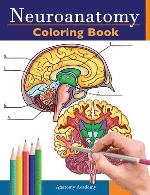 Anatomy Academy - Neuroanatomy Coloring Book, Häftad