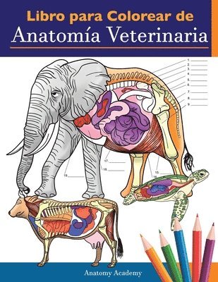 Anatomy Academy - Libro para colorear de anatomía veterinaria, Häftad. Tillgänglighet: Lägg i varukorg